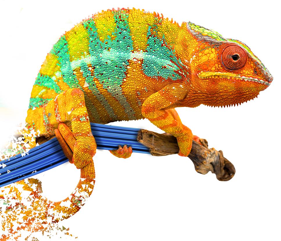 camaleon
